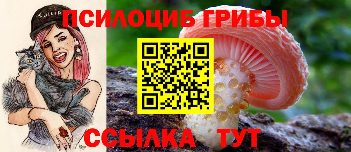 Галлюциногенные грибы Magic Shrooms Большой Камень