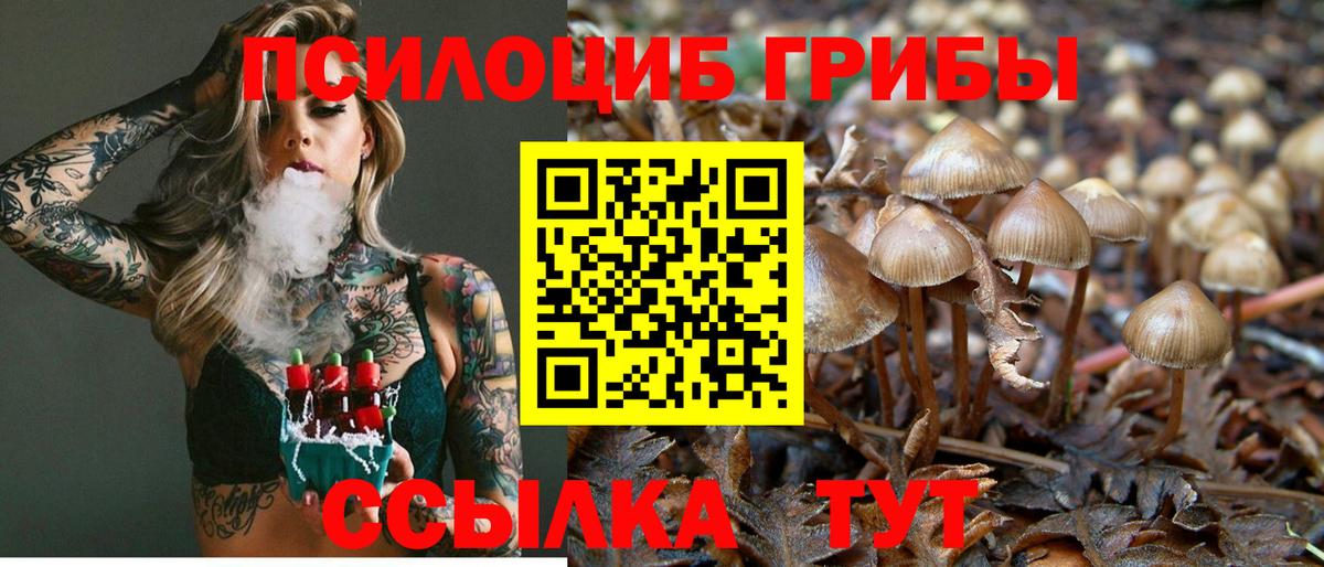Псилоцибиновые грибы прущие грибы  Псилоцибиновые грибы Psilocybine cubensis  Вход с VPN  Большой Камень 